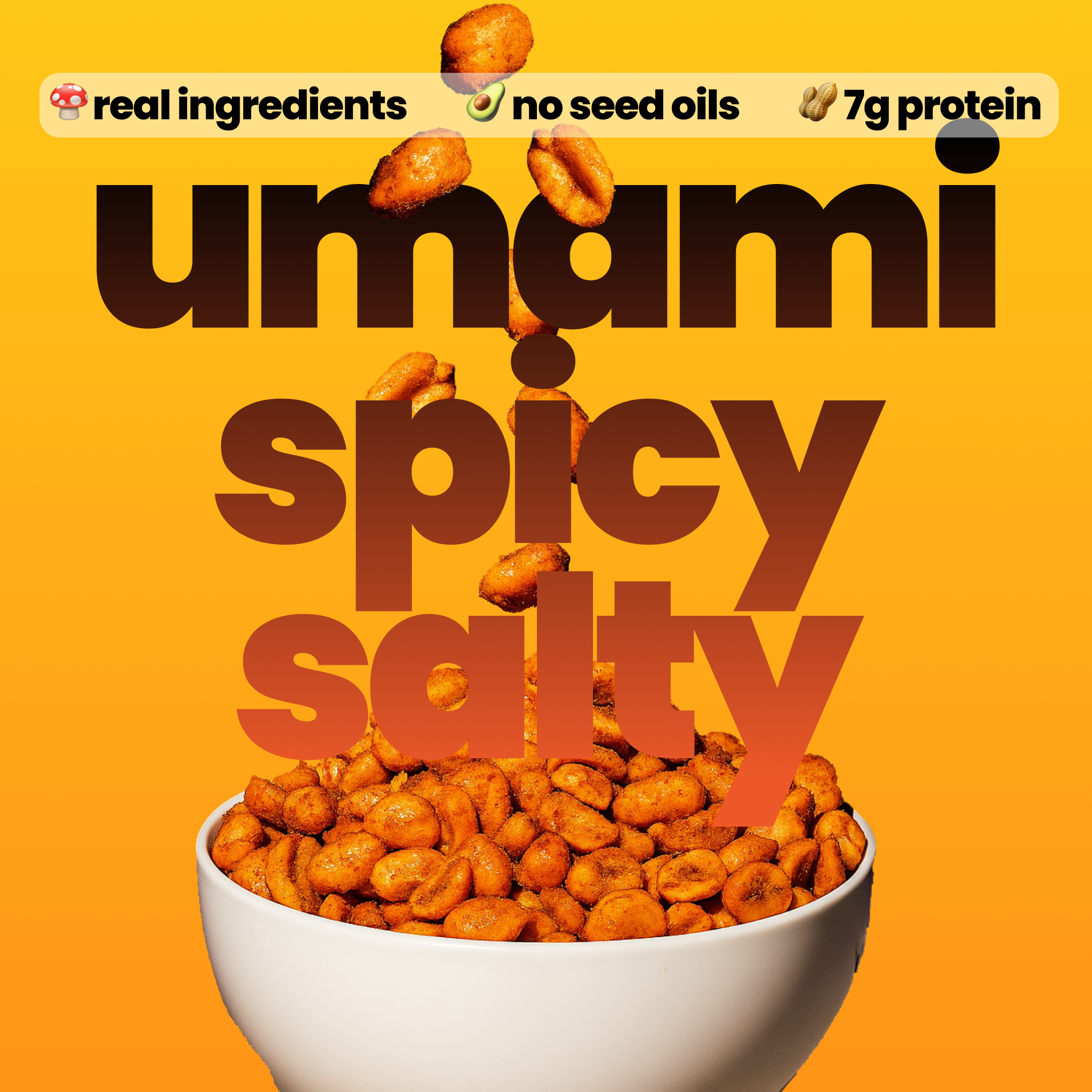 Black Truffle Masala Roasted Peanuts